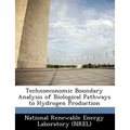 Technoeconomic Boundary Analysis of Biological Pathways to Hydrogen Production