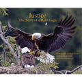 Justice--The Story of a Bald Eagle