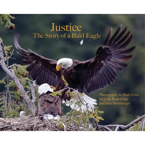 Justice--The Story of a Bald Eagle