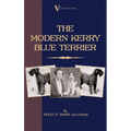 The Modern Kerry Blue Terrier (A Vintage Dog Books Breed Classic)