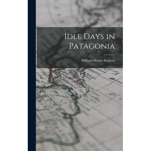 Idle Days in Patagonia