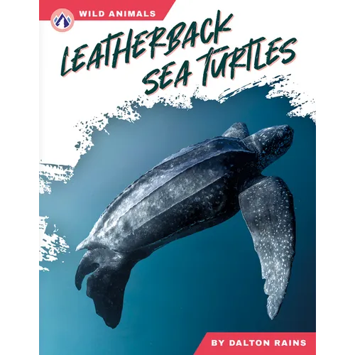 Leatherback Sea Turtles