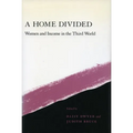 A Home Divided: Women and Income in the Third World