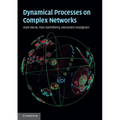 Dynamical Processes on Complex Networks
