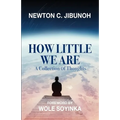 How Little We Are: A Collection of Thoughts