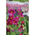 Wildflowers of Zion National Park