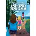 Island Enigma: A children's adventure book