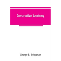 Constructive anatomy