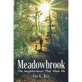 Meadowbrook: The Neighborhood That Made Me