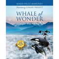 Whale of Wonder