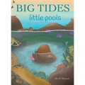 Big Tides Little Pools