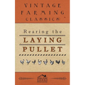 Rearing the Laying Pullet
