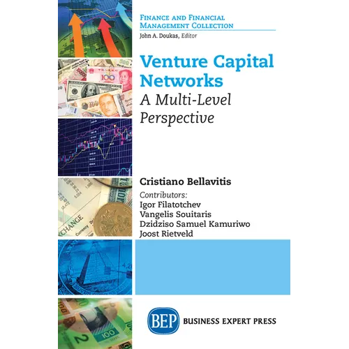 Venture Capital Networks: A Multi-Level Perspective
