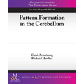 Pattern Formation in the Cerebellum