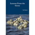 Lessons From the Geese