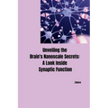 Unveiling the Brain's Nanoscale Secrets: A Look Inside Synaptic Function