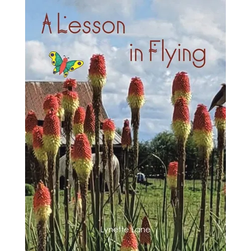 A Lesson in Flying