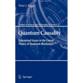 Quantum Causality: Conceptual Issues in the Causal Theory of Quantum Mechanics