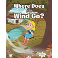 Where Does the Wind Go?