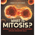 What is Mitosis? Mitosis Cycle vs. Cell Cycle Explained Diploid Daughter Cells Grade 6-8 Life Science