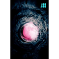 Pink Moon, a Story about Nick Drake