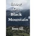 Snow on Black Mountain: The Scott Ranch Adventures - Book 2