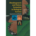 Morphogenesis and Pattern Formation in Biological Systems: Experiments and Models