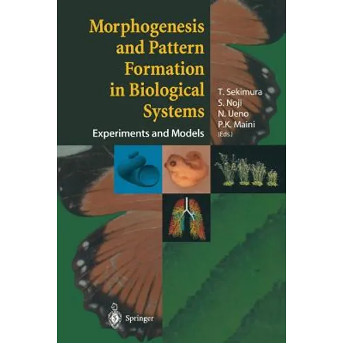 Morphogenesis and Pattern Formation in Biological Systems: Experiments and Models