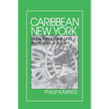 Caribbean New York: Individualism and Democratic Culture