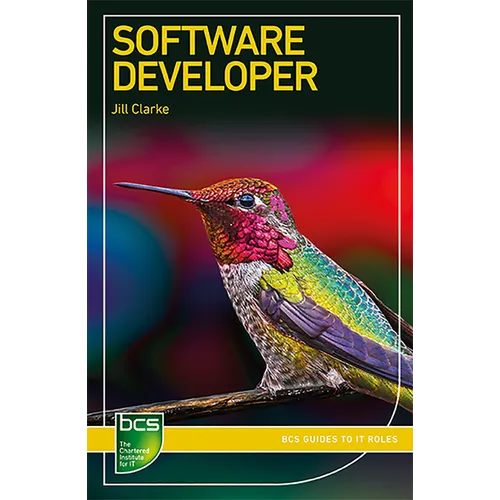 Software Developer