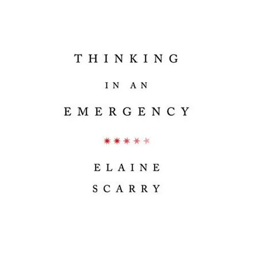 Thinking in an Emergency