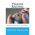 Pigeon Racing: Beginners Guide