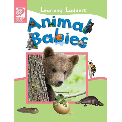 Animal Babies