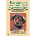 How to Help Your Puppy Grow Up to Be a Wonderful Dog: With a Complete Month-By-Month Guide to Raising Your Puppy