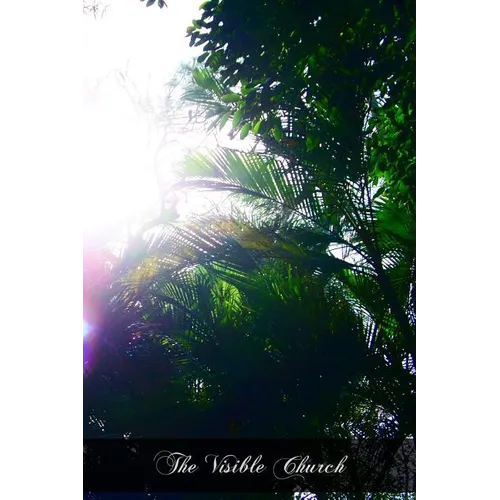 The Visible Church: Her Government, Ceremonies, Sacramentals, Festivals, And Devotions