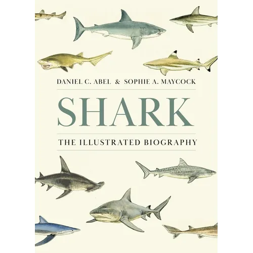 Shark: The Illustrated Biography