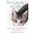 To Catch a Cat: How Three Stray Kittens Rescued Me