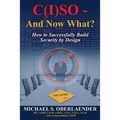 C(I)SO - And Now What?: How to Successfully Build Security by Design