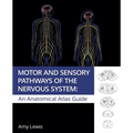Motor and Sensory Pathways of the Nervous System