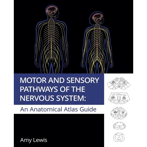 Motor and Sensory Pathways of the Nervous System