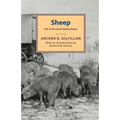 Sheep: Life on the South Dakota Range