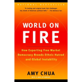 World on Fire: How Exporting Free Market Democracy Breeds Ethnic Hatred and Global Instability