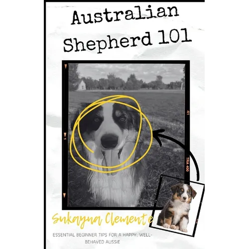 Australian Shepherd 101: Essential Beginner Tips for a Happy, Well-Behaved Aussie