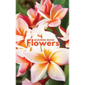 Address Book Flowers