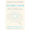 The Rabbi's Brain: Mystics, Moderns and the Science of Jewish Thinking