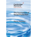 The Economics of Social Protection