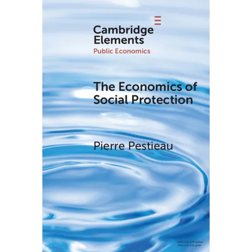 The Economics of Social Protection
