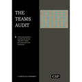The Teams Audit
