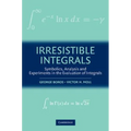 Irresistible Integrals: Symbolics, Analysis and Experiments in the Evaluation of Integrals