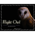 Night Owl: A Book for Nocturnal Toddlers